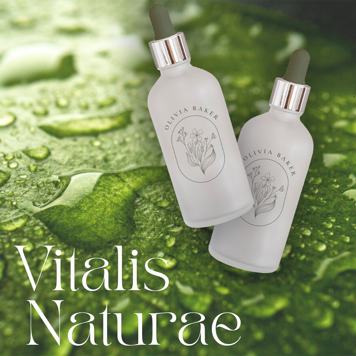 Exemple du logo Vitalis Naturae sur des flacons compte goutte d'huiles essentielles