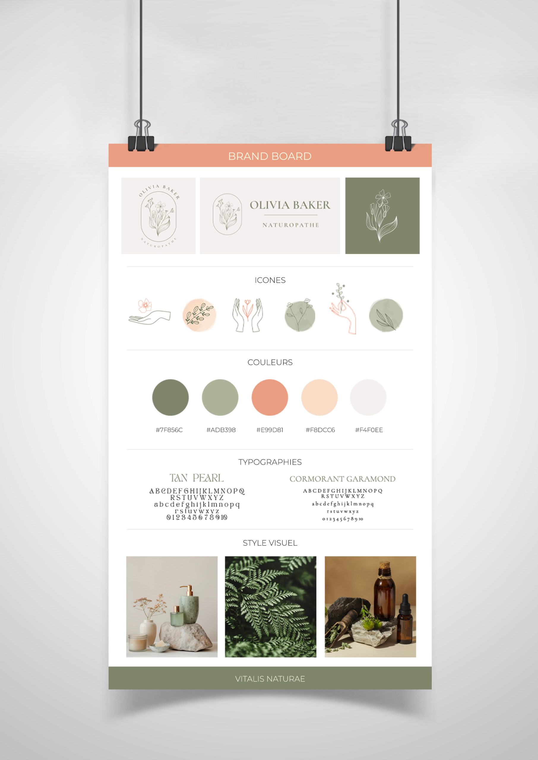 brandboard, mini charte graphique du logo du pack Vitalis Naturae