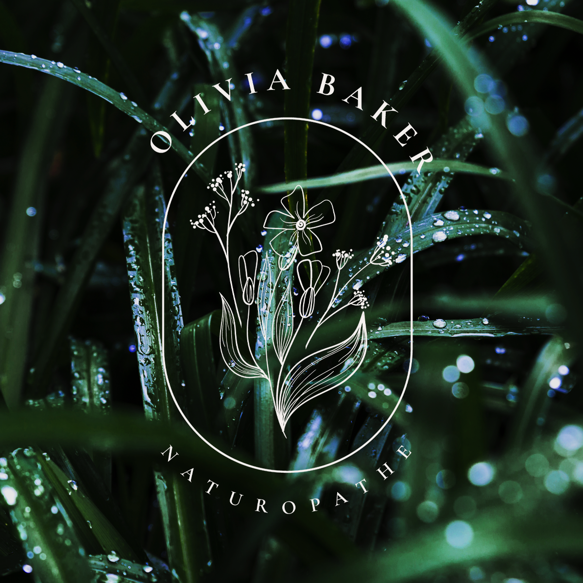 Logo du pack Vitalis Naturae sur un fond naturel